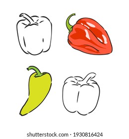 Half a bell pepper. Black and white vector illustration. Isolated on a white background.
