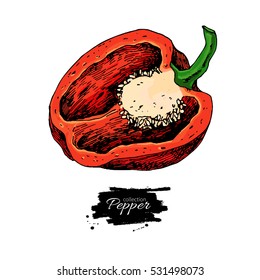 Half bell pepper hand drawn vector illustration. Vegetable Isolated object. Detailed vegetarian food drawing. Farm market product. Paprika icon
