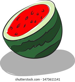 Half of a big sliced watermelon, vector, color drawing or illustration.