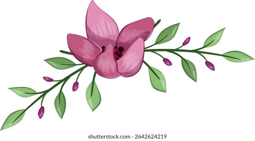 Planta de flor de primavera de media floración