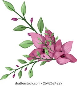 Planta de flor de primavera de media floración