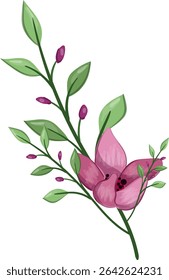 Planta de flor de primavera de media floración