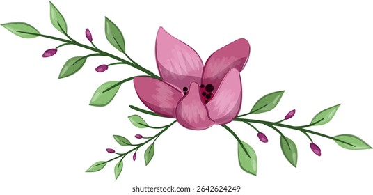 Planta de flor de primavera de media floración