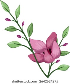 Planta de flor de primavera de media floración