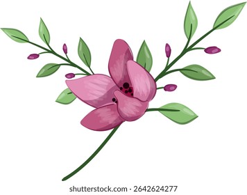 Planta de flor de primavera de media floración