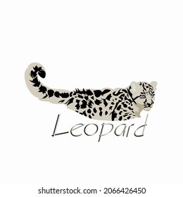 Half Body Leopard Illustration Vector