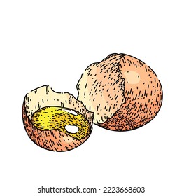 half broken egg hand drawn vector. half food, eggshell, yolk, chicken, uncooked half half broken egg sketch. isolated color illustration