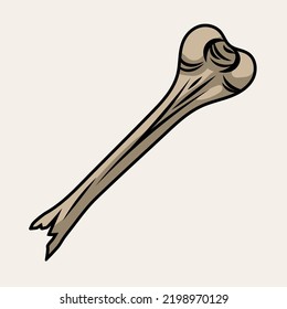 Half broken off hip bone in vintage style. Illustration for Halloween, Day of the Dead, Dia de los muertos.