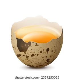 Half of broken quail egg with a yolk isolated on a white background. Raw сhicken egg smashed. Healthy food with high protein. Realistic 3d vector illustration