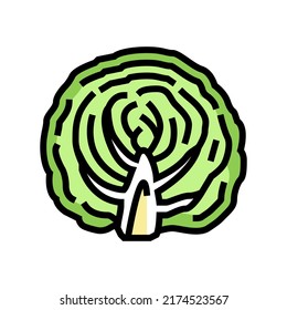 half of cabbage vegetable color icon vector. half of cabbage vegetable sign. isolated symbol illustration