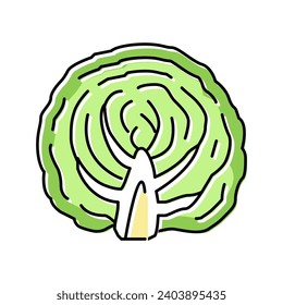 half of cabbage vegetable color icon vector. half of cabbage vegetable sign. isolated symbol illustration