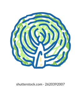 metade do repolho vegetal ícone doodle esboço vetor. metade do sinal de repolho vegetal. ilustração símbolo isolado