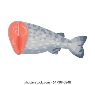 Half carcass salmon. Vector illustration on white background.