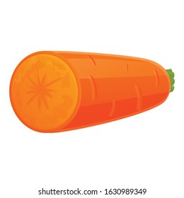 Half carrot icon. Cartoon of half carrot vector icon for web design isolated on white background
