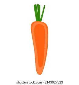 Half of carrot isolated on background. Flat vector illustration