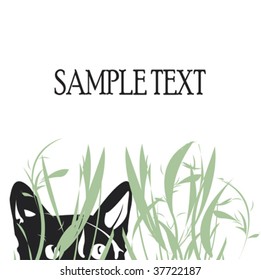  Half a cat hunting your text: vector illustration