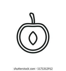 half cherry vector icon