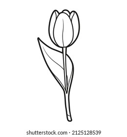 Half closed bud tulip coloring book linear drawing isolated on white background