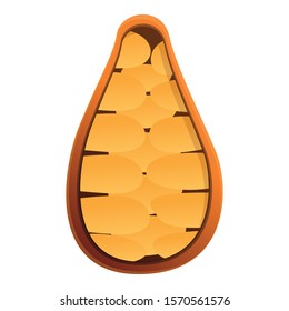 Half cocoa icon. Cartoon of half cocoa vector icon for web design isolated on white background