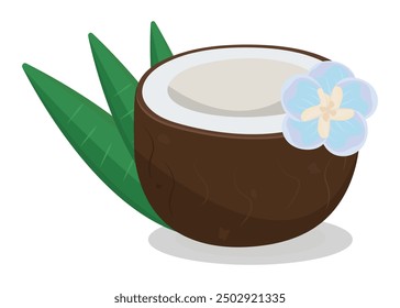 Half a coconut with a flower and leaves, vector color illustration