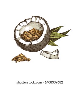 Half of coconut full of coconut sugar isolated on white background. Vector illustration