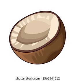half coconut icon over white background, vector illustration