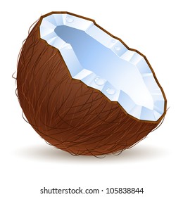 Half a coconut.  Illustration for design on white background