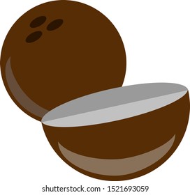 Halbe Kokosnuss, Illustration, Vektorgrafik auf weißem Hintergrund.
