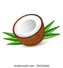 Half coconut with leaves isolated on white background. Realistic vector illustration.