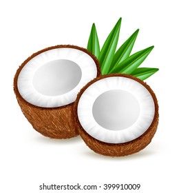 Half coconut with leaves isolated on white background. Realistic vector illustration.