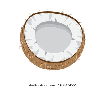 Half coconut on white background. brown coconut in cut