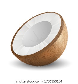 Half coconut on white background. Realistic vector