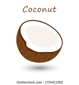 Half coconut on white background. Vector fresh tropical fruit.