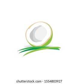 Half Coconut and Pandan Leaves Vector Illustration For Design Element or Logo Icon