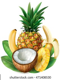 Half coconut,  pineapple and bananas. Vector
