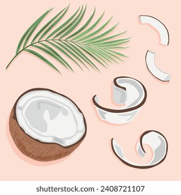 Half a coconut and its shavings with a palm branch. Vector images fruits. Tropical fruits.