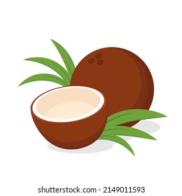 Half coconut. Coconut vector on white background. Realistic vector illustration isolated on white background.