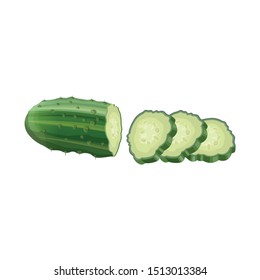 Half of cucumber with few slices. Vector illustration isolated on white background