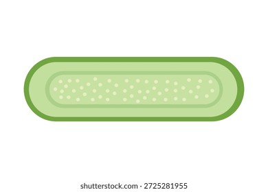 La mitad de pepino vegetal. rebanada de pepino. producto del agricultor