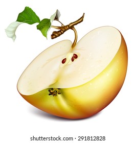 Half cut apple with leaves. Vector illustration.