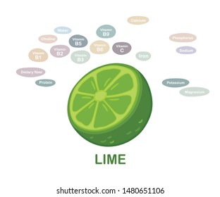 Half cut green Lime. Colorful drawing vectors of fruit simple line style, using plain colors, llustrates with nutrition contents on a white background