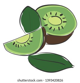 A half cut kiwi into two halves and a slice vector color drawing or illustration