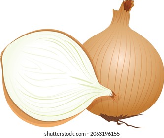 Half cut onion sided by a full onion on a white background.