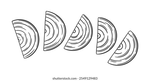 Half cut onion slices. Vector illustration of onion. Outline sketch onion.
