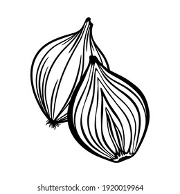 Half Cut Onion With Whole Onion Bulb. Vector Outline Drawing. 