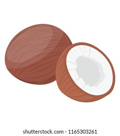 
Half cut tropical fruit known as coconut 
