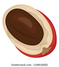 
A half cutted fruit with drune in it depicting lucuma
