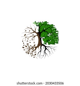 half dead and wither tree and roots vector illustration, molt tree, drought tree logo