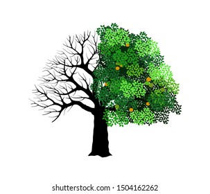 Half Dead Tree Hd Stock Images Shutterstock