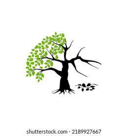 half dead and wither tree and vector illustration, molt tree, drought tree vector